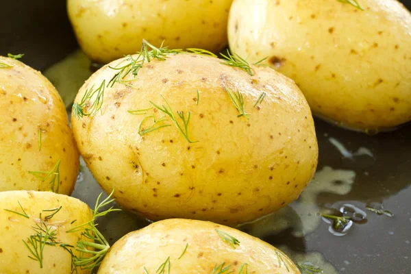 Jonge gekookte aardappelen — Stockfoto