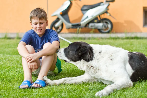 Der Junge mit seinem Hund — Stockfoto