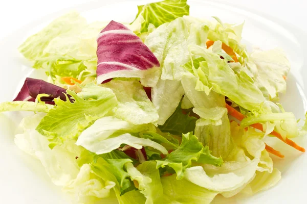 Свежий салат — стоковое фото