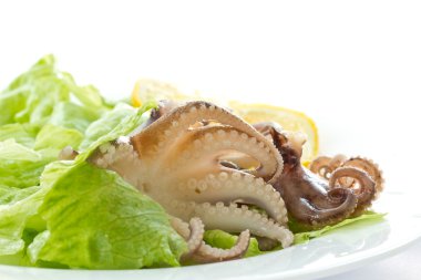 haşlanmış ahtapot salatası