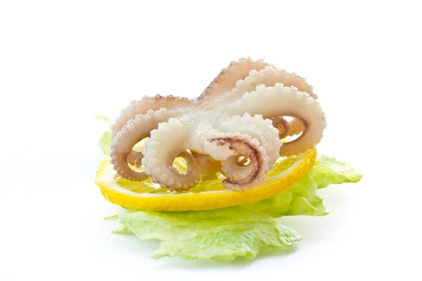 Gekochter Oktopus mit Zitronenscheibe — Stockfoto