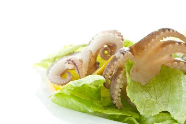 Salat mit gekochtem Tintenfisch — Stockfoto