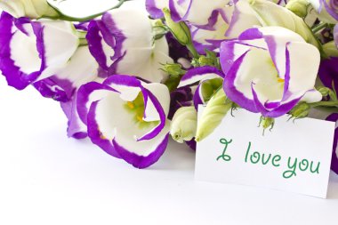 Lisianthus clipart