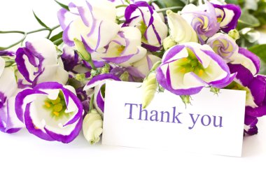 Lisianthus clipart