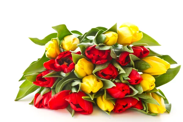Červené a žluté tulipánové květy — Stock fotografie