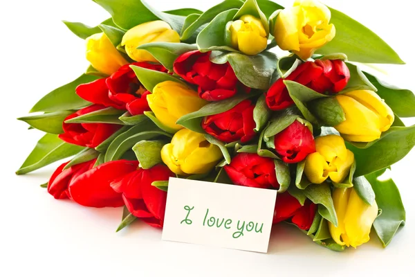 Vörös és sárga tulipán virágok — Stock Fotó