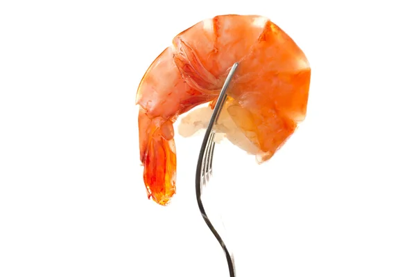 Stock image Shrimp