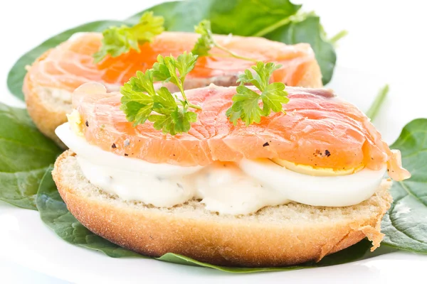 Sandwich mit rotem Fisch — Stockfoto