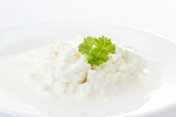 우유 코 티 지 치즈 — 스톡 사진