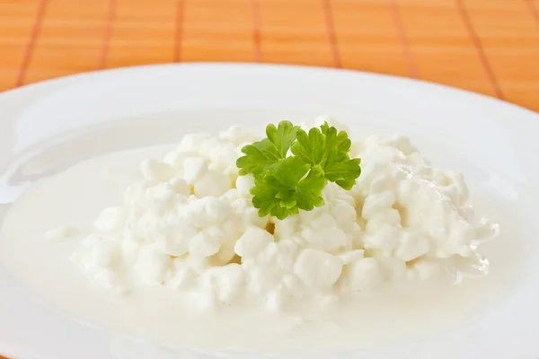 Dairy cottage cheese — Stock Photo, Image