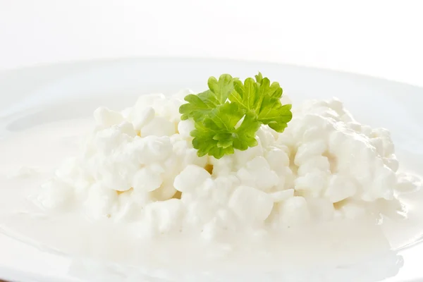 우유 코 티 지 치즈 — 스톡 사진