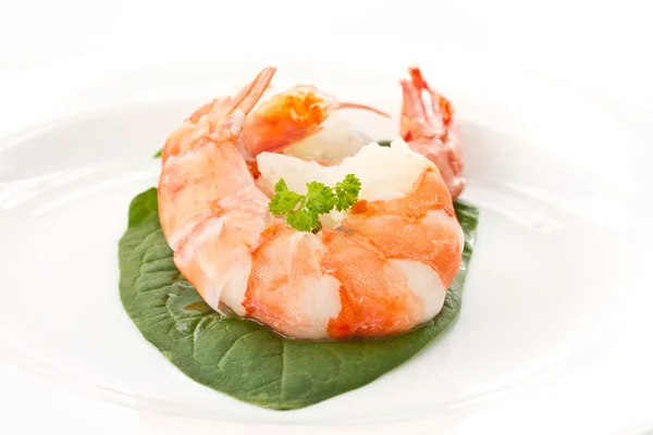 stock image Large shrimp