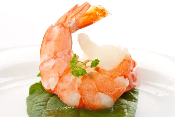 Large shrimp — Stock Photo, Image