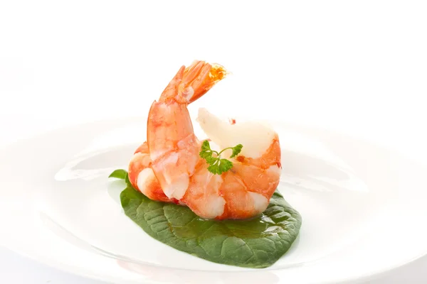 Large shrimp — Stock Photo, Image