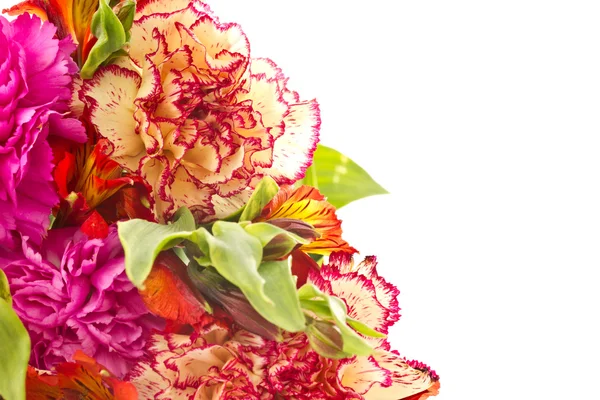Kytice červené karafiáty a chryzantémy — Stock fotografie