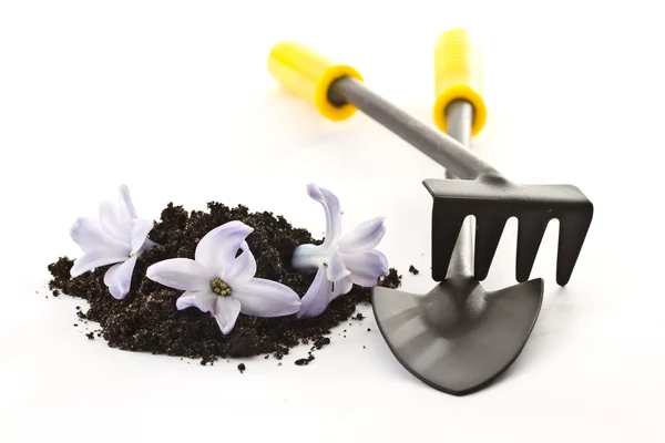 Tools for the garden — Stock Photo, Image