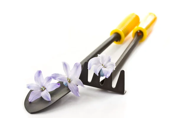 Tools for the garden — Stock Photo, Image