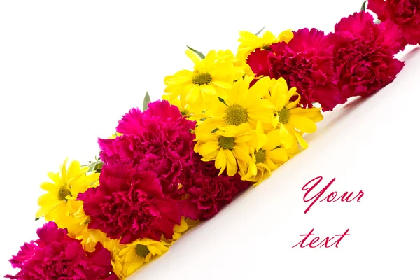 Yellow chrysanthemums and red carnations — Stock Photo, Image