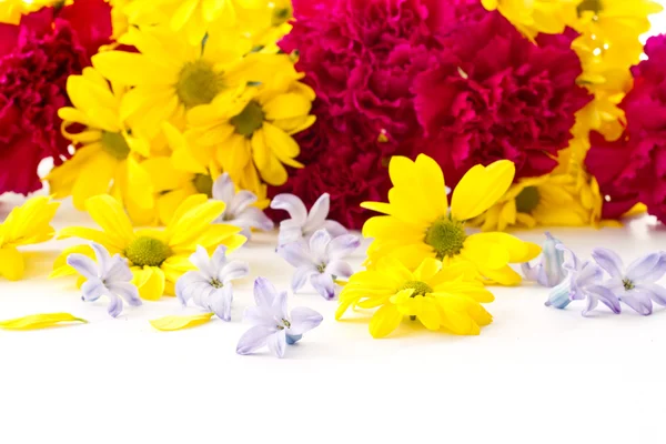 Chrysanthemum květiny, hyacinth a karafiát — Stock fotografie