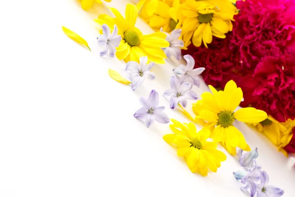 Chrysanthemenblüten, Hyazinthen und Nelken — Stockfoto