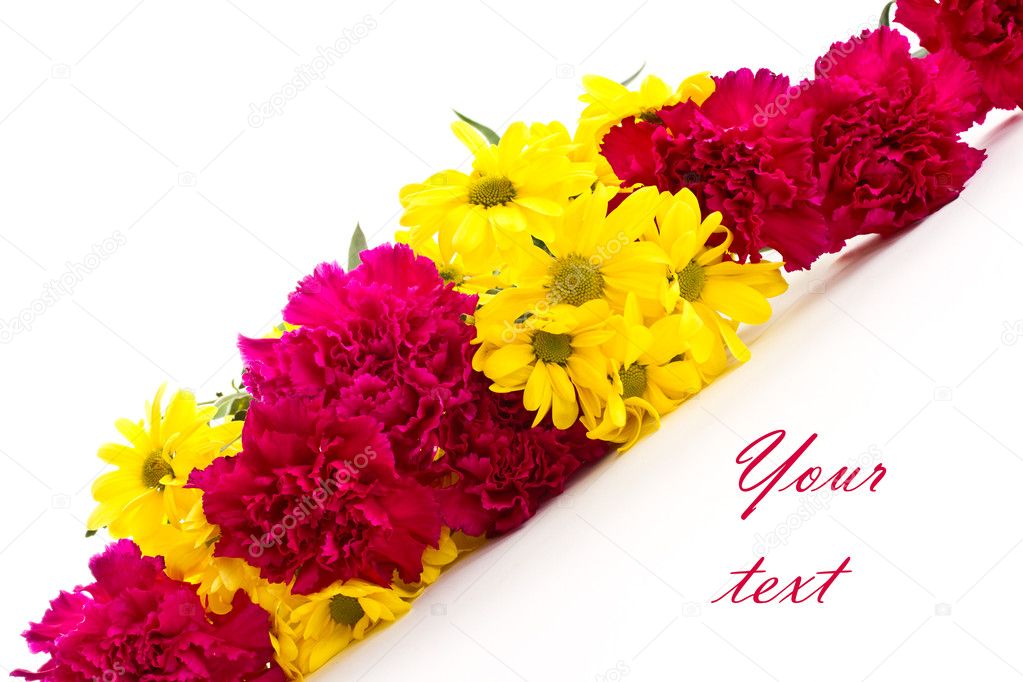 Yellow chrysanthemums and red carnations
