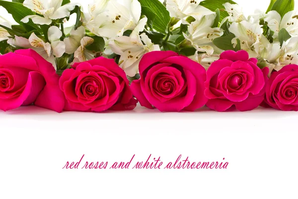 Kırmızı güller ve beyaz alstroemeria — Stok fotoğraf