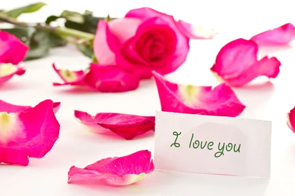 Krásné červené růže a okvětní lístky — Stock fotografie