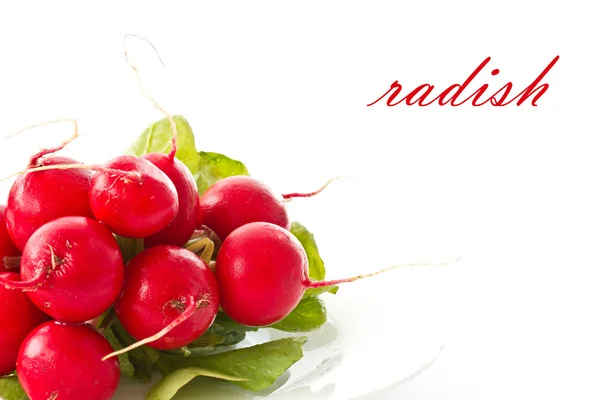 stock image Bunch of fresh red radishes