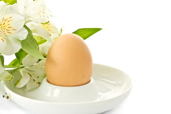 Főtt tojás, és a fehér virág alstromerii — Stock Fotó