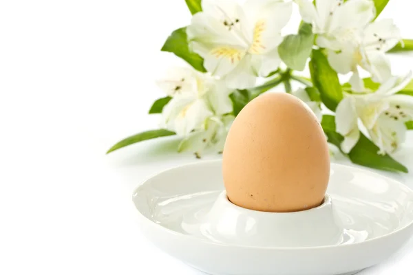 ゆで卵と白い花 alstromerii — ストック写真