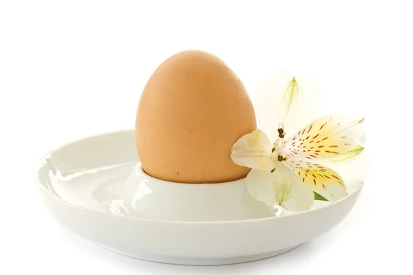 Huevo cocido y una flor blanca alstromerii — Foto de Stock