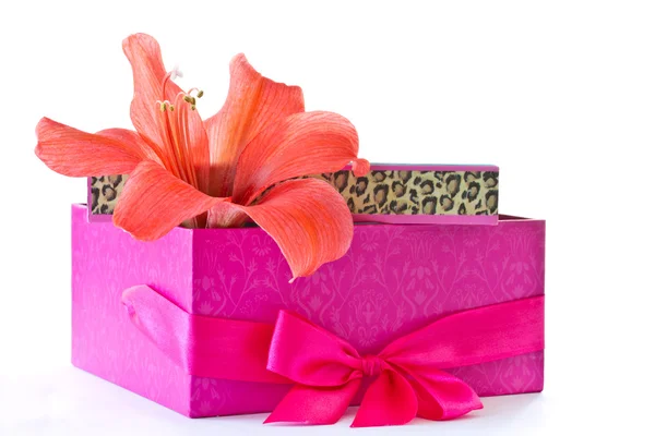 Caja de regalo y una flor roja —  Fotos de Stock