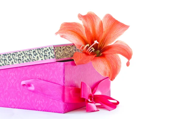 Gift box and a red flower — Stock Photo, Image