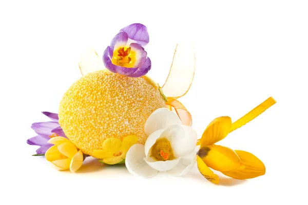 Egg and bright crocuses — Stock Photo, Image