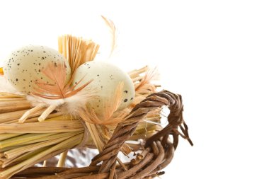 bıldırcın yumurtası