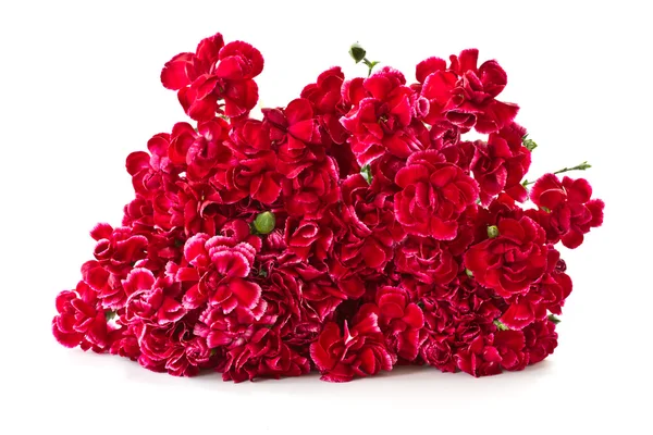 赤いカーネーションの花束 — ストック写真