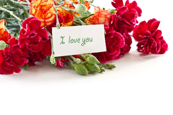 Bouquet di garofani rossi — Foto Stock
