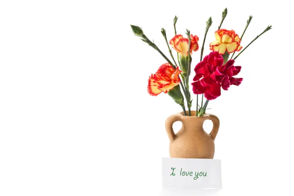Heldere carnation bloemen in een klei pot — Stockfoto