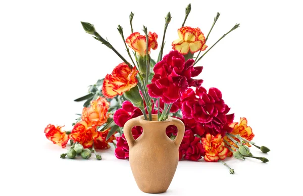 Jasne kwiaty goździków w glinianym garnku — Zdjęcie stockowe
