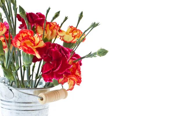 赤いカーネーションの花束 — ストック写真
