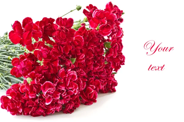 Bouquet di garofani rossi Foto Stock Royalty Free