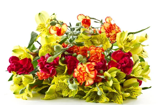 Alstroemeria flowers — Stock Photo, Image