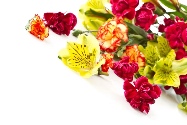 Alstroemeria y claveles rojos — Foto de Stock