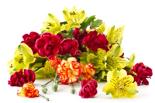 Alstroemeria and red carnations — Stock Photo, Image