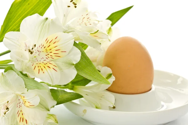 Βραστό αυγό και ένα άσπρο λουλούδι alstromerii — Φωτογραφία Αρχείου