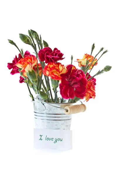 明亮的存储桶中的康乃馨花束 — 图库照片