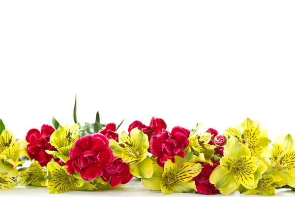 Alstroemeria flowers — Stock Photo, Image