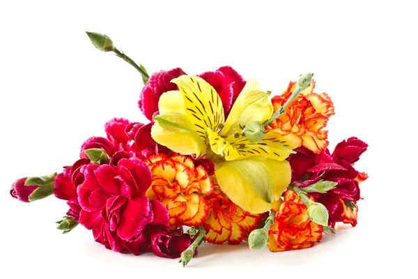 Alstroemeria and red carnations — Stock Photo, Image