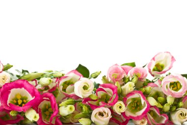 buket pembe çiçekler lisianthus