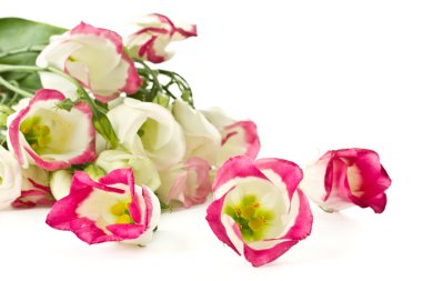 buket pembe çiçekler lisianthus